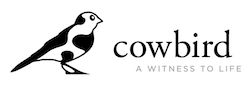cowbird
