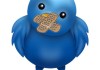 twitter_bird_block