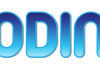 odin-logo