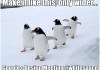 whitespace_penguins