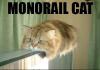 funny-pictures-monorail-cat1