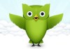 Duolingo_owl