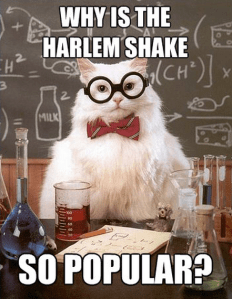 Why is harlem shake so popular??