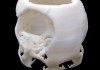 3D printed skull