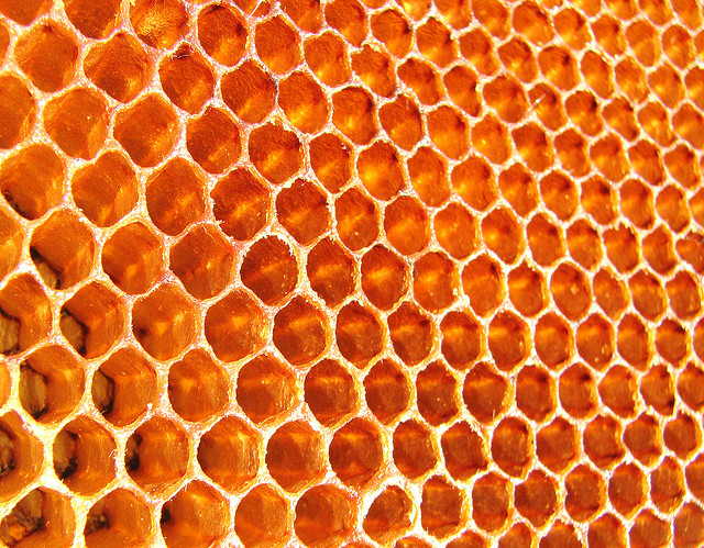 honeycomb by Karunakar Rayker on Flickr