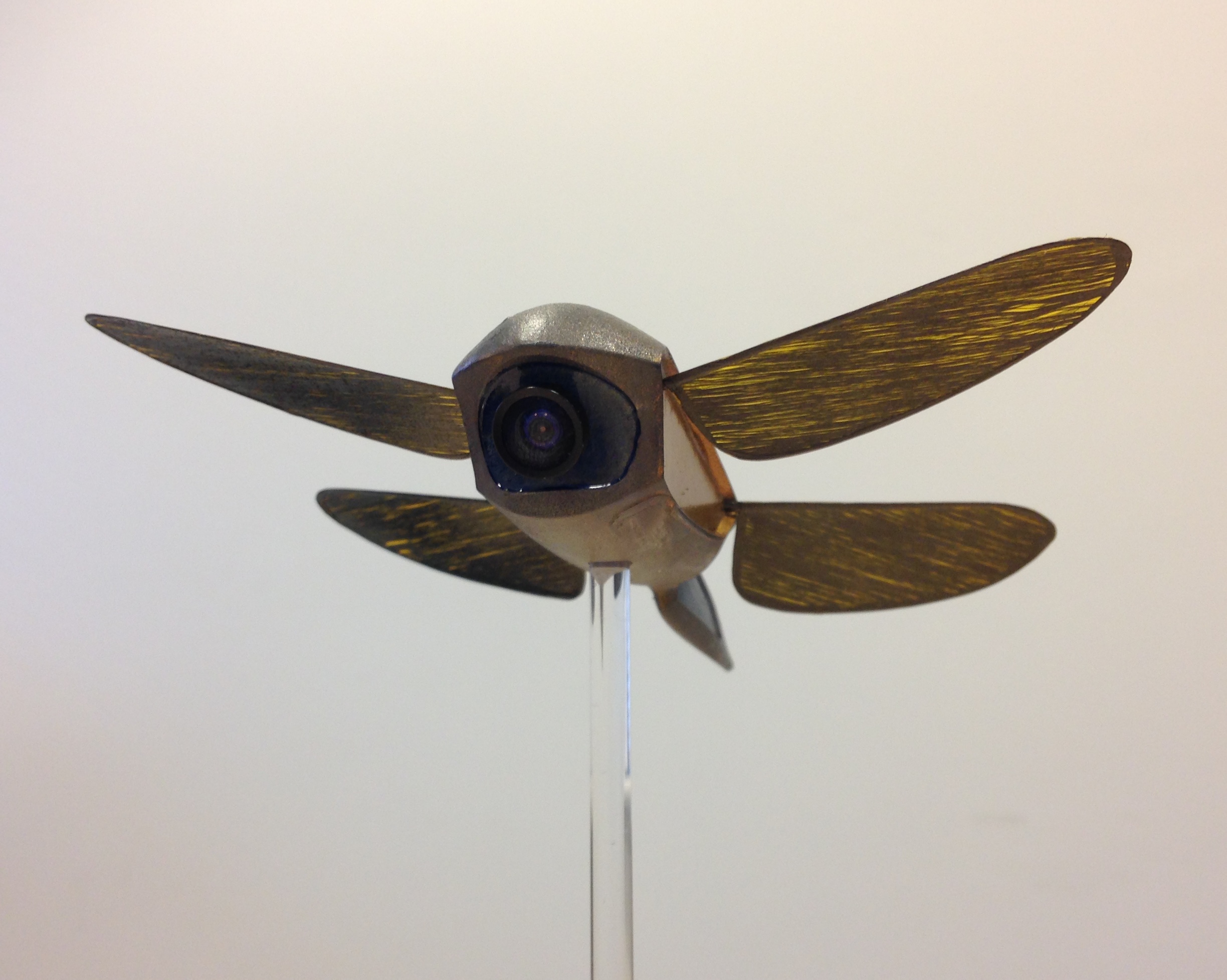 Is it a bird? Is it a bug? No it’s a biomimetic microdrone with flapping wings