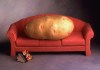 couch_potato