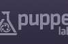 puppet-labs