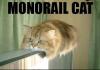 funny-pictures-monorail-cat1 (1)