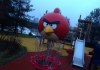 angry-birds2