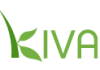 Kiva logo 2013