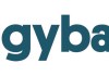 1. piggybackr-logo