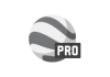 earth_pro_gray_logo