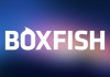 boxfish-logo