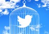 Twitter Cage