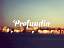 Prefundia_Logo