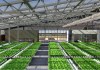 BrightFarms_greenhouse