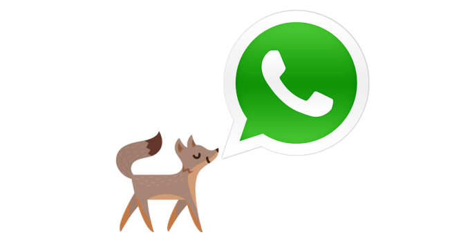 Facebook WhatsApp Fox