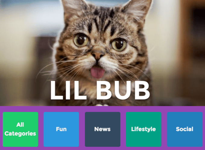 Yo Lil Bub