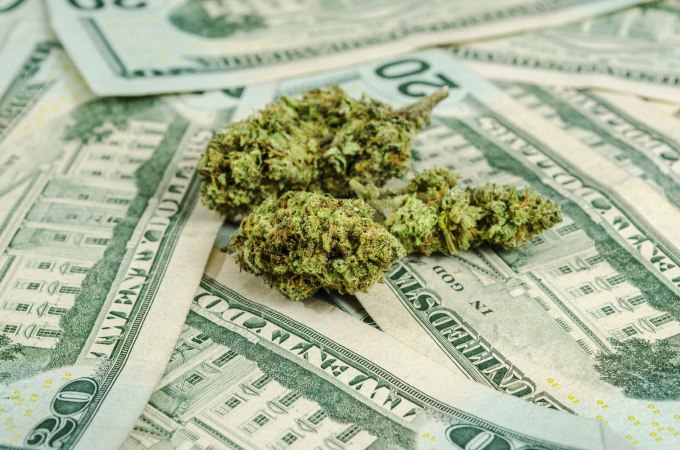 marijuana buds on US currency