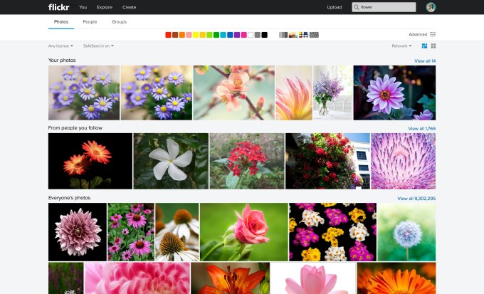 Flickr_Web Search