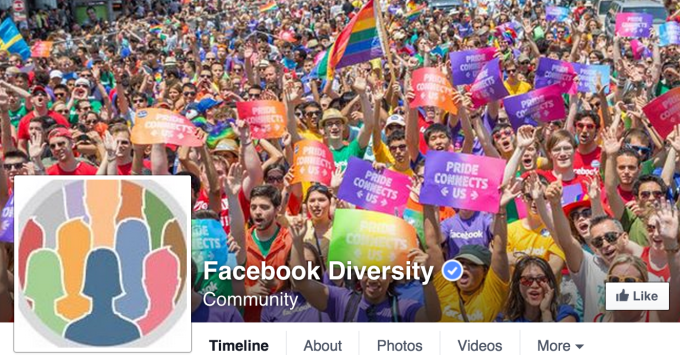 Facebook Diversity Feature