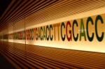 Google’s GV leads $21M Series B in bioscience firm Cambridge Epigenetix