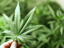 Wurk raises $1 million to help cannabis companies manage their people