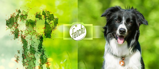 photo of Microsoft’s New App “Fetch!” Tells You What Kind Of Dog You Are (And It Can ID Your Dog, Too) image