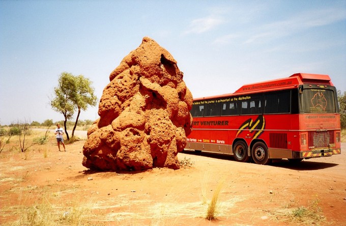 Termite superorganism, Australia