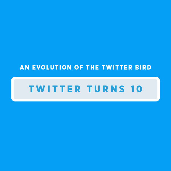 TwitterBirdEvolution