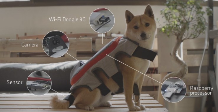 Together, we can make this auto-Facebooking camera harness for dogs a reality
