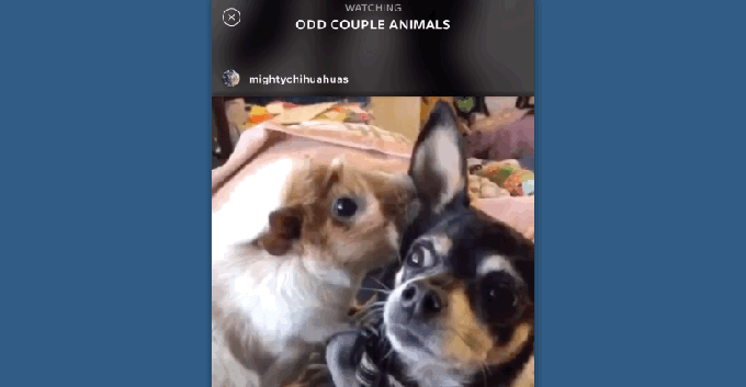 Instagram launches personalized video feed and themed channels in Explore