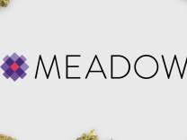 Marijuana deliverer Meadow rolls up $2.1M for dispensary sales software