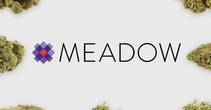 Meadow Feature