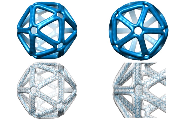 This algorithm could make DNA origami as simple as 3D printing