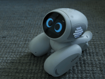 Meet Domgy, an AI pet robot from Beijing startup ROOBO