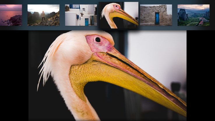 photo of Adobe Lightroom comes to Apple TV, of all things image