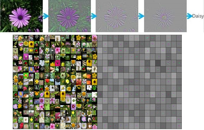 photo of Deep learning software knows that a rose is a rose is a rosa rubiginosa image