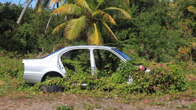 Wrecked car decaying with flowers and plants.