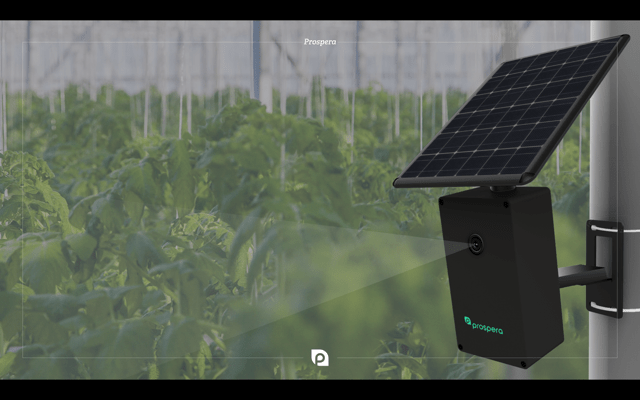 Prosperaの作物のモニタリングシステムは、農家が収穫量を向上させるための手助けをするために、コンピュータビジョンと人工知能を利用している。
