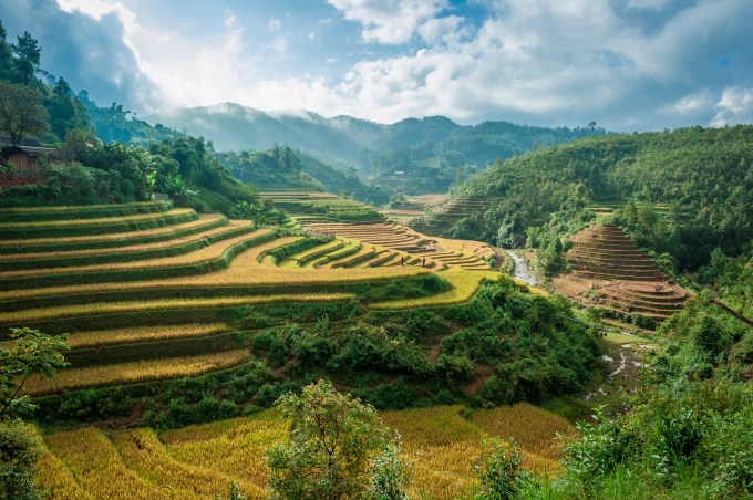 Farmhouse and rice terraced field in Sa Pa, Vietnam