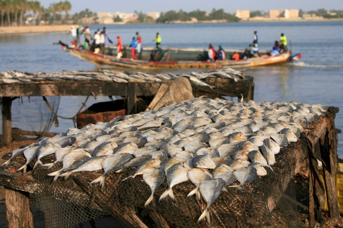 Fish and boat, Saint Louis, Senegal, West Africa, Africa (Photo: Godong / robertharding/Getty Images)