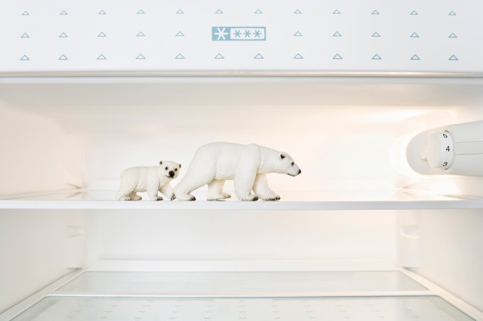 Toy Polar bears in freezer