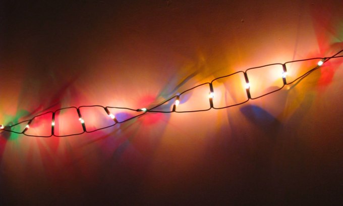 Chinese scientists CRISPR a human for the first time