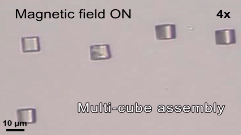 These tiny modular ‘microbots’ can change shape to capture single cells