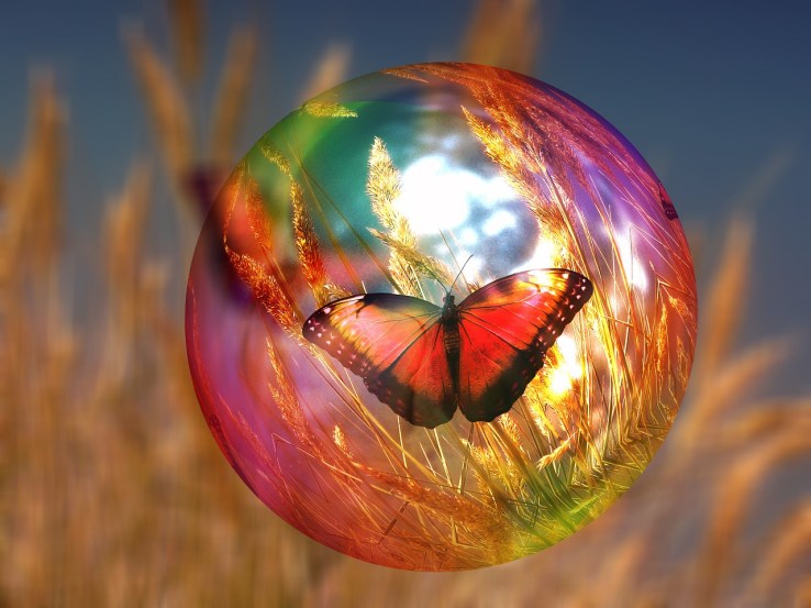 butterfly-bubble.jpg