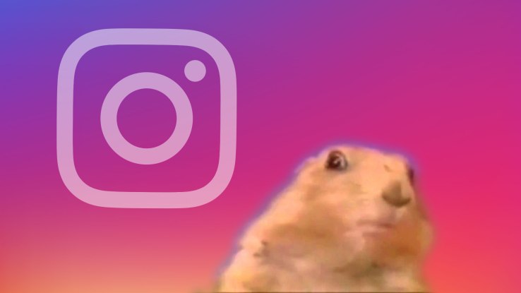 Instagram Superzoom records dramatic close-up videos