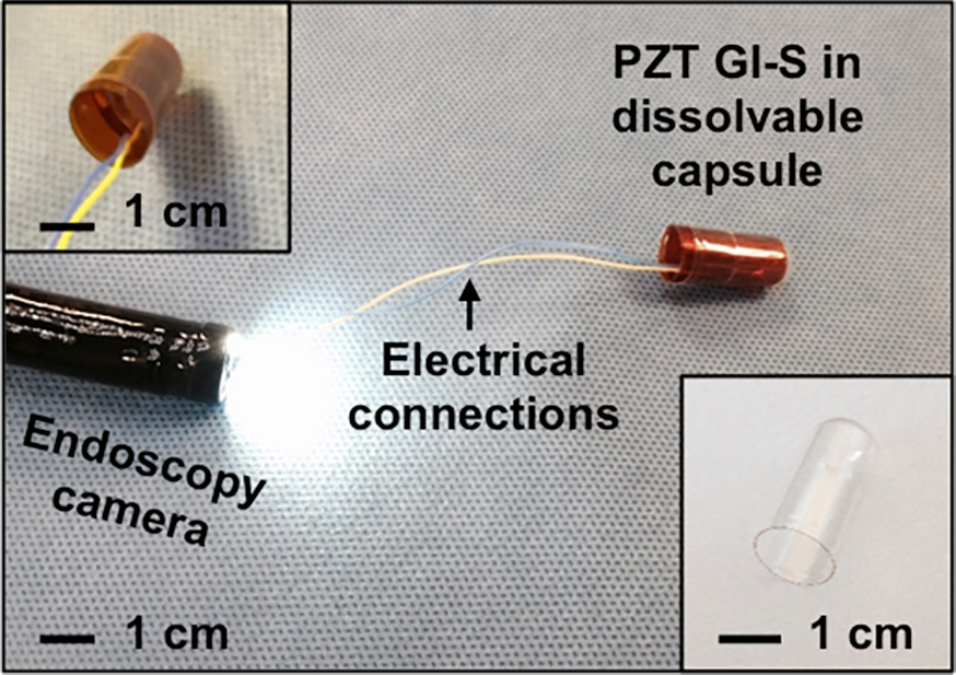 Researchers develop digestible sensors for monitoring the gastrointestinal tract