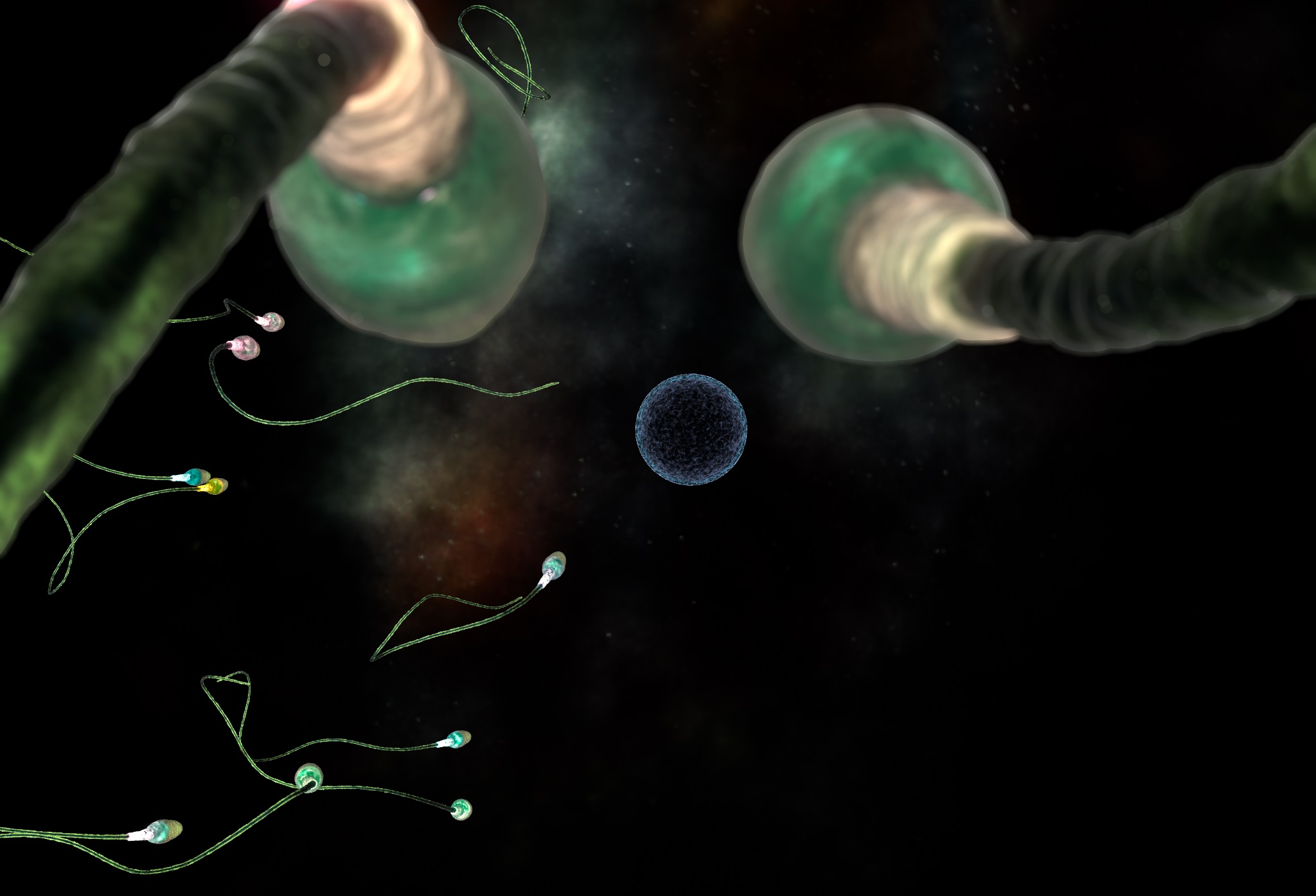 photo of Quest to depict CG sperm leads to real biological advances image
